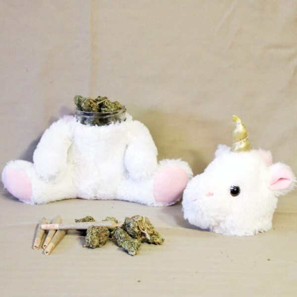 Sneaky Budz Stash Jar- Sally - Image 5