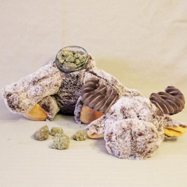 Sneaky Budz Stash Jar- Maurice - Image 4